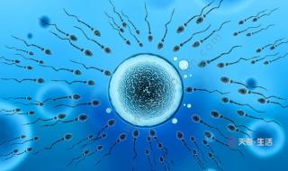 碱性乳白体是什么东西