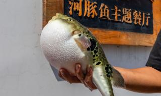 借点情借点爱广场舞分解动作