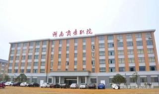 湖南商务职业技术学院分数线