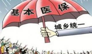 城乡居民医疗保险缴费