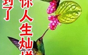 2022~2023年度时间怎么回事 告别2022迎接2023祝福句子