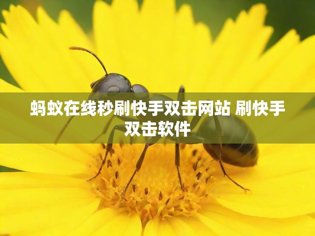 蚂蚁在线秒刷快手双击网站 刷快手双击软件
