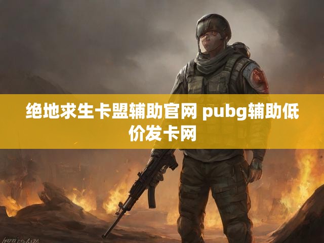绝地求生卡盟辅助官网 pubg辅助低价发卡网