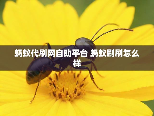 蚂蚁代刷网自助平台 蚂蚁刷刷怎么样