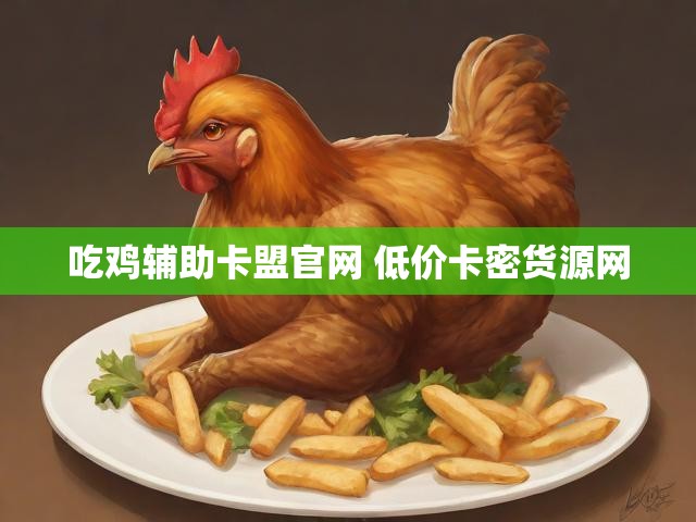 吃鸡辅助卡盟官网 低价卡密货源网