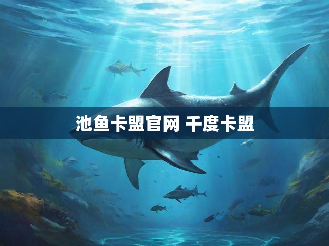 池鱼卡盟官网 千度卡盟