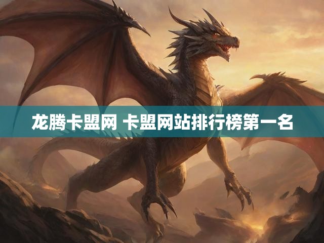 龙腾卡盟网 卡盟网站排行榜第一名