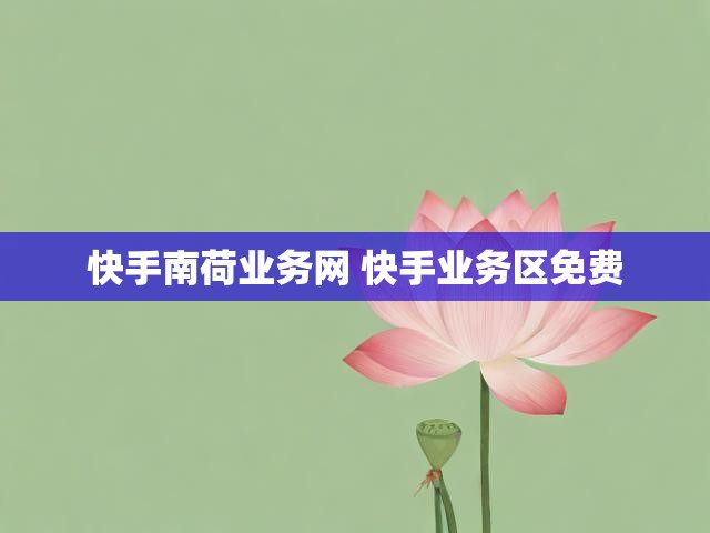 快手南荷业务网 快手业务区免费