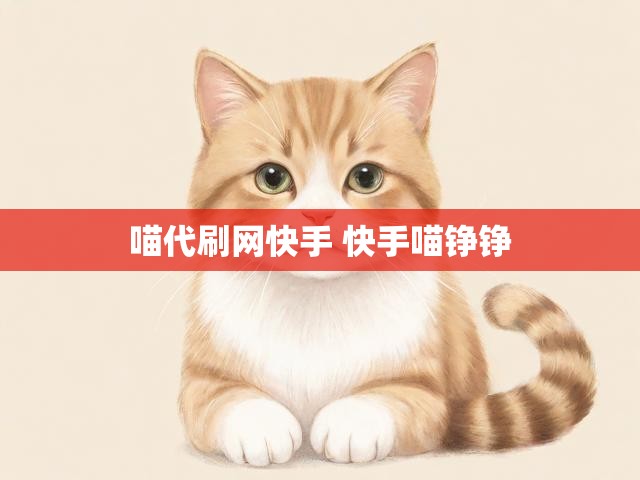 喵代刷网快手 快手喵铮铮