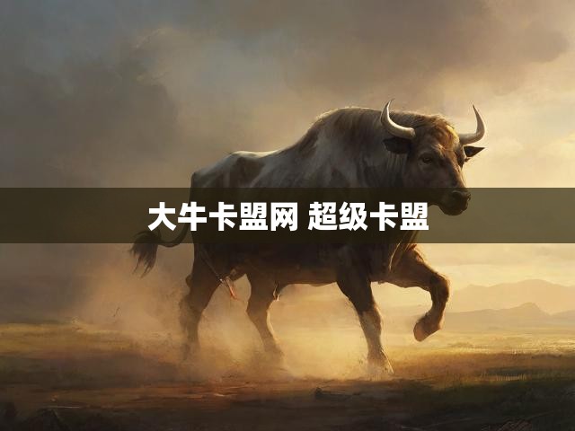 大牛卡盟网 超级卡盟