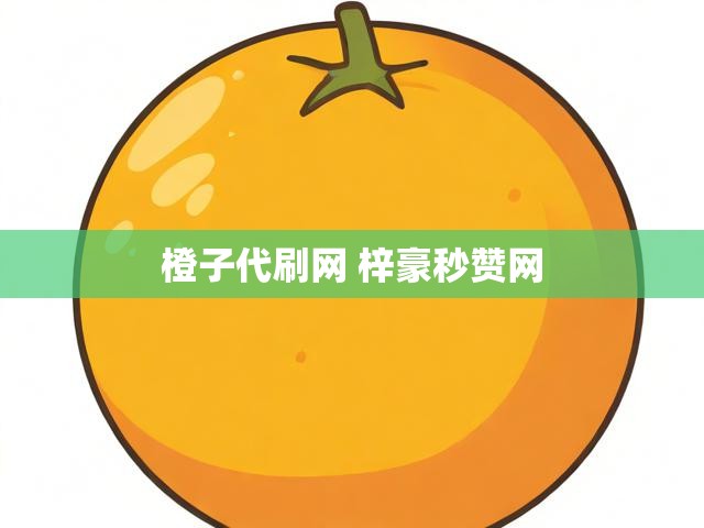橙子代刷网 梓豪秒赞网