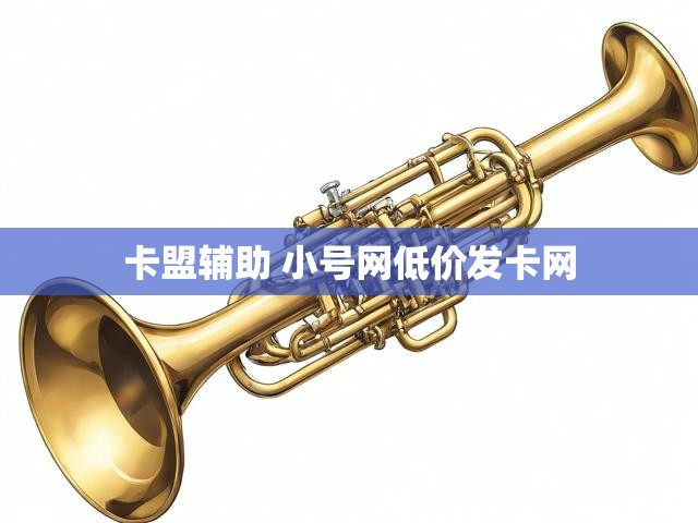 卡盟辅助 小号网低价发卡网