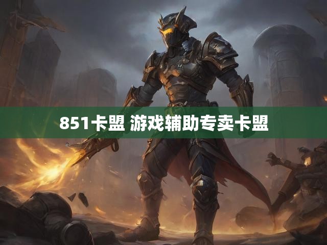 851卡盟 游戏辅助专卖卡盟