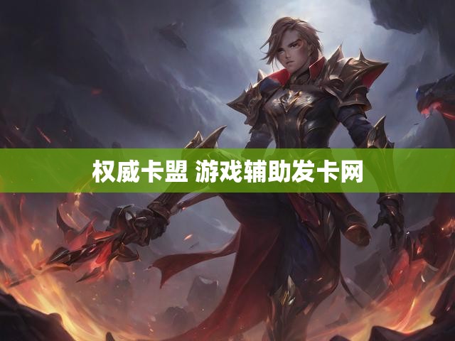 权威卡盟 游戏辅助发卡网