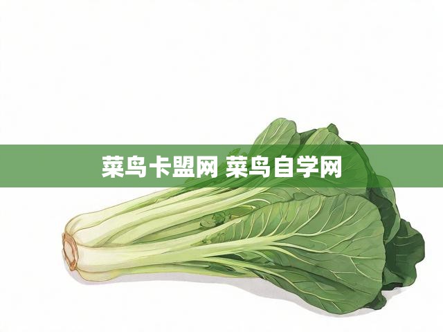 菜鸟卡盟网 菜鸟自学网