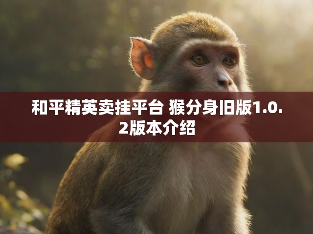 和平精英卖挂平台 猴分身旧版1.0.2版本介绍