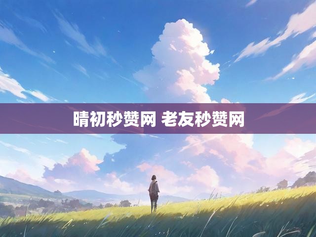 晴初秒赞网 老友秒赞网