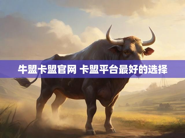 牛盟卡盟官网 卡盟平台最好的选择