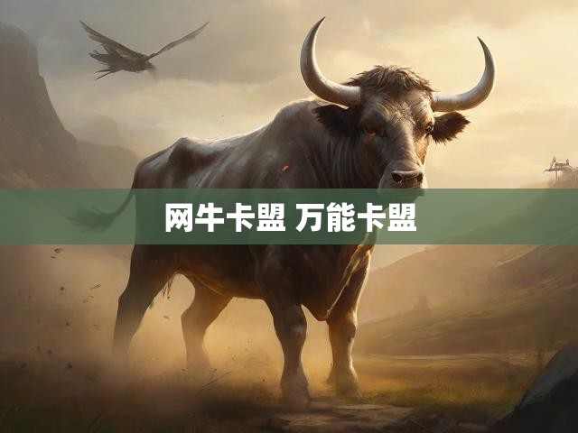 网牛卡盟 万能卡盟