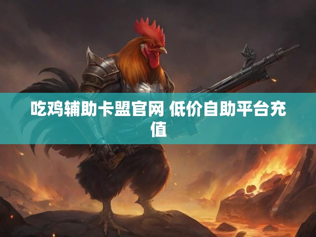 吃鸡辅助卡盟官网 低价自助平台充值