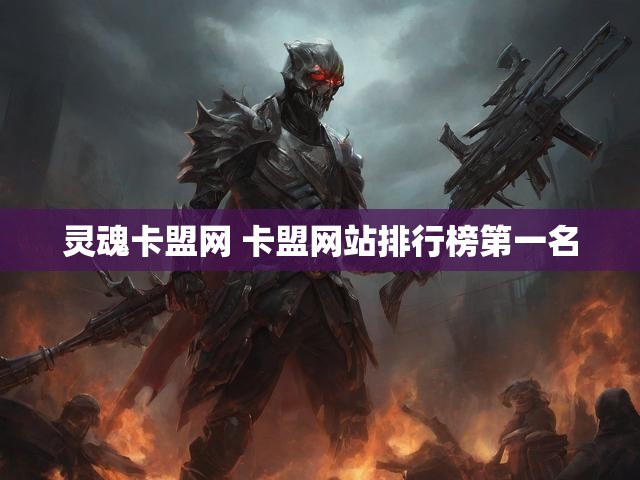 灵魂卡盟网 卡盟网站排行榜第一名