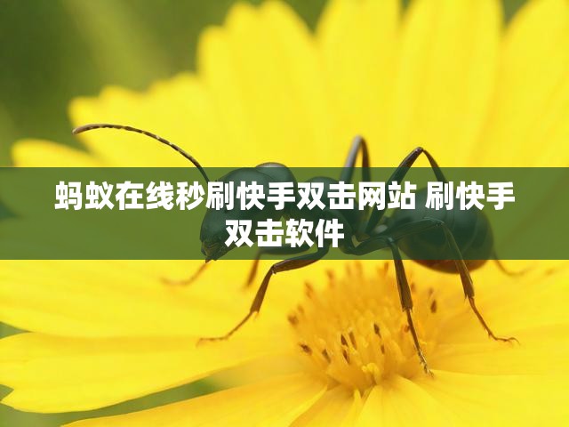 蚂蚁在线秒刷快手双击网站 刷快手双击软件
