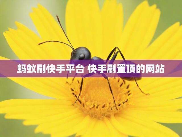 蚂蚁刷快手平台 快手刷置顶的网站