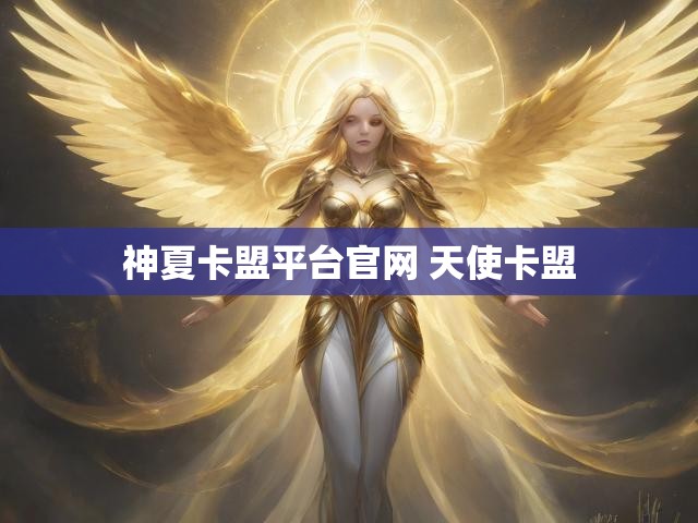 神夏卡盟平台官网 天使卡盟