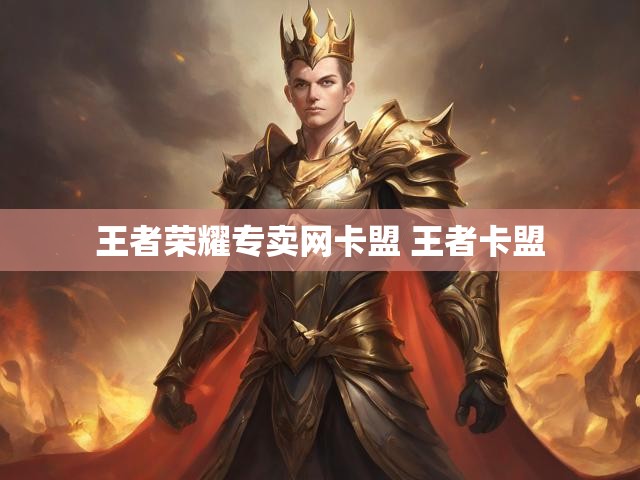 王者荣耀专卖网卡盟 王者卡盟