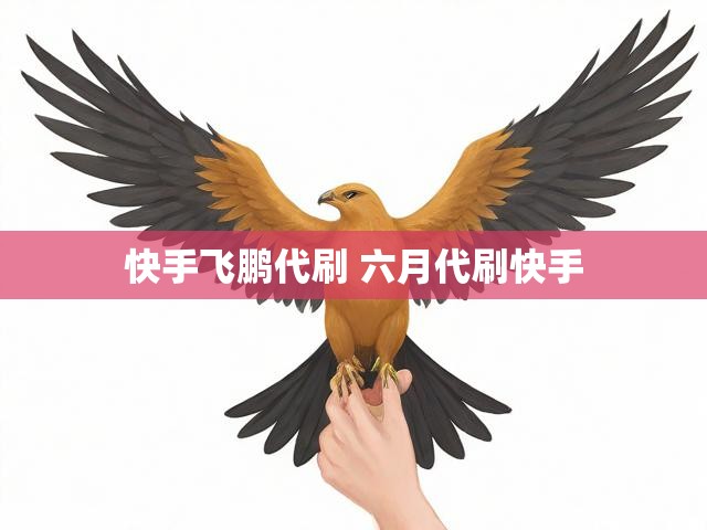 快手飞鹏代刷 六月代刷快手
