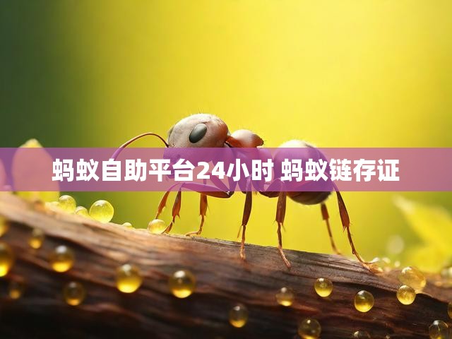 蚂蚁自助平台24小时 蚂蚁链存证