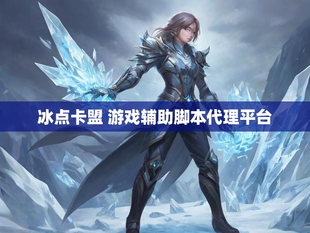 冰点卡盟 游戏辅助脚本代理平台