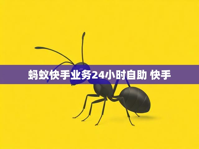 蚂蚁快手业务24小时自助 快手