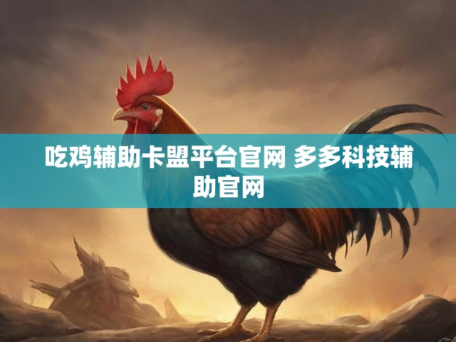吃鸡辅助卡盟平台官网 多多科技辅助官网