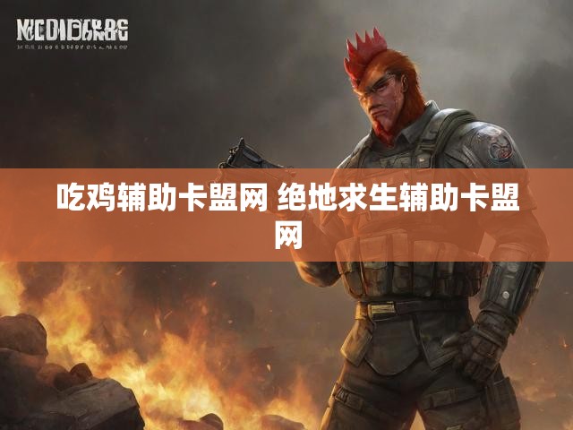 吃鸡辅助卡盟网 绝地求生辅助卡盟网