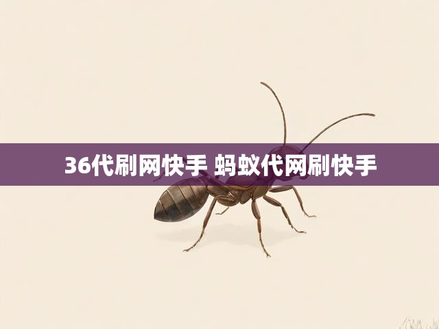36代刷网快手 蚂蚁代网刷快手