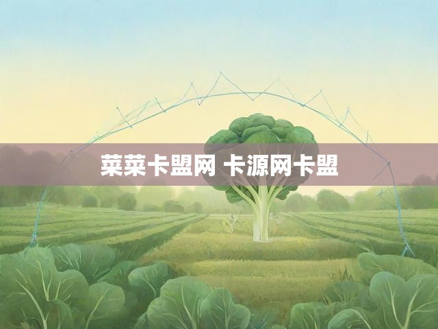菜菜卡盟网 卡源网卡盟