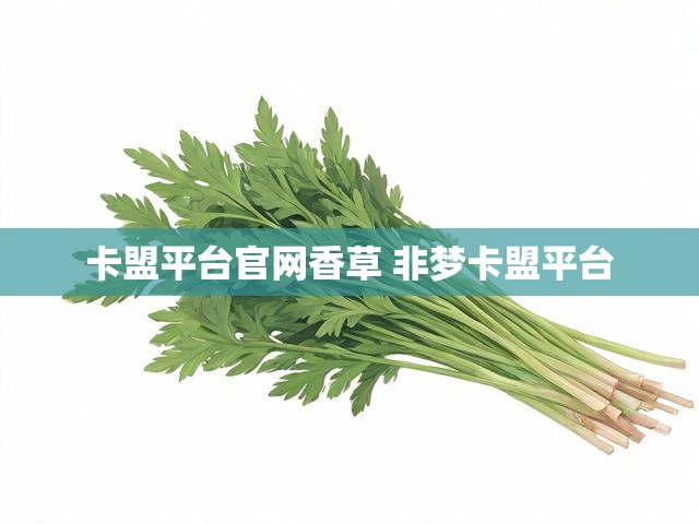 卡盟平台官网香草 非梦卡盟平台