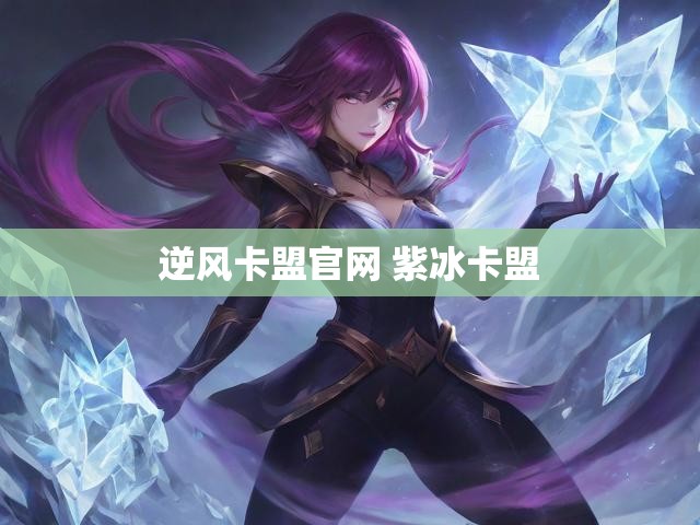 逆风卡盟官网 紫冰卡盟