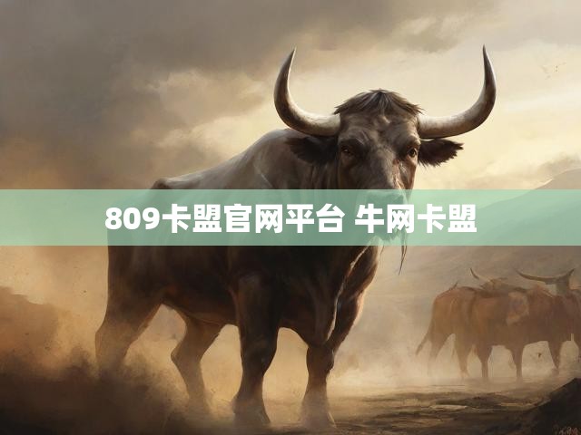809卡盟官网平台 牛网卡盟