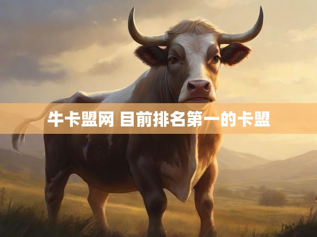 牛卡盟网 目前排名第一的卡盟