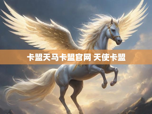 卡盟天马卡盟官网 天使卡盟