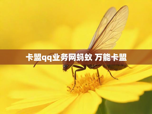 卡盟qq业务网蚂蚁 万能卡盟
