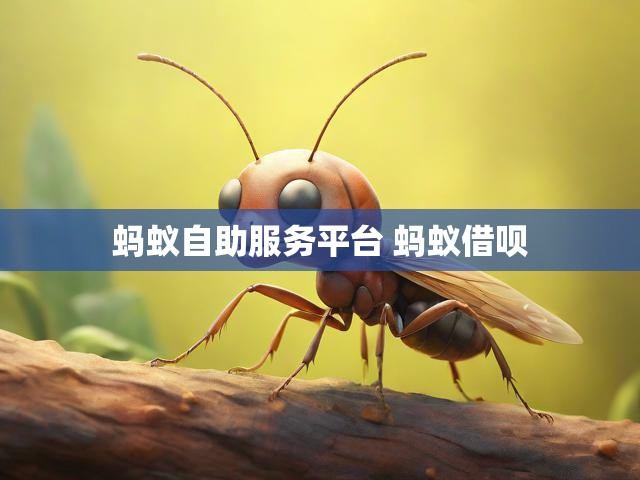 蚂蚁自助服务平台 蚂蚁借呗