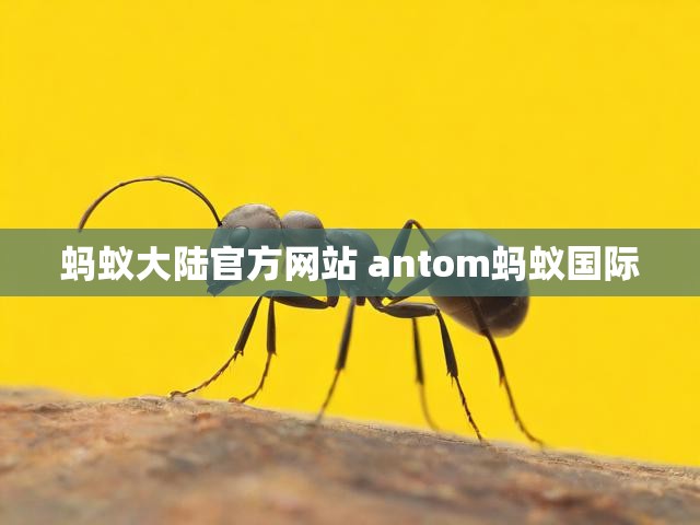 蚂蚁大陆官方网站 antom蚂蚁国际